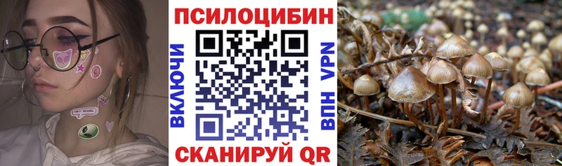 купить наркотики цена  Усолье  hydra онион  Галлюциногенные грибы мухоморы 
